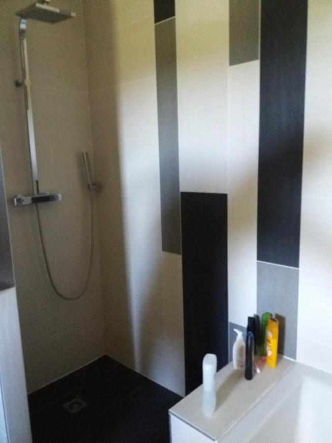 Chambres, Cuisine, Piscine, Spa, Billards, Airhockey, Nature Fillinges Zewnętrze zdjęcie