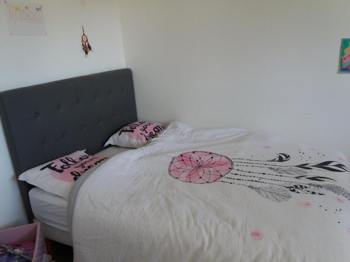 Chambres, Cuisine, Piscine, Spa, Billards, Airhockey, Nature Fillinges Zewnętrze zdjęcie